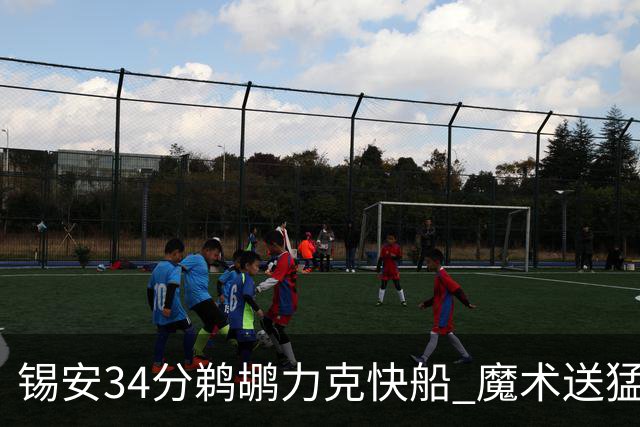 锡安34分鹈鹕力克快船 魔术送猛龙6连败